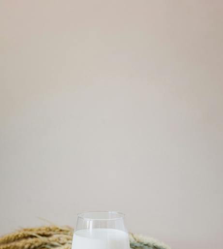 Beverage refrigerator overview