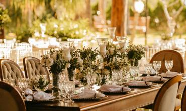 Dinnerware