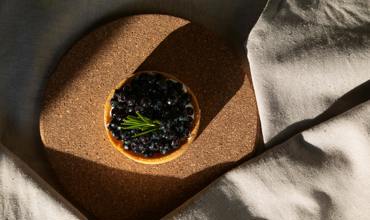 Quiche pans