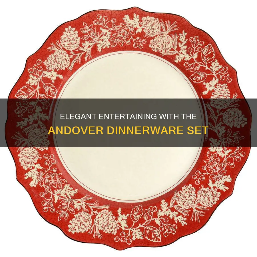 222 fifth andover dinnerware set 16 pc