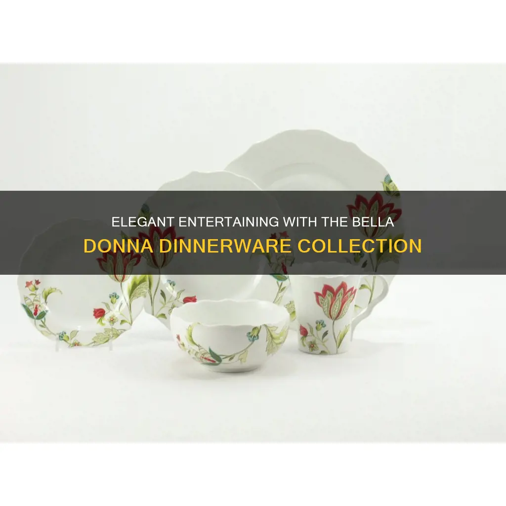 222 fifth bella donna dinnerware set