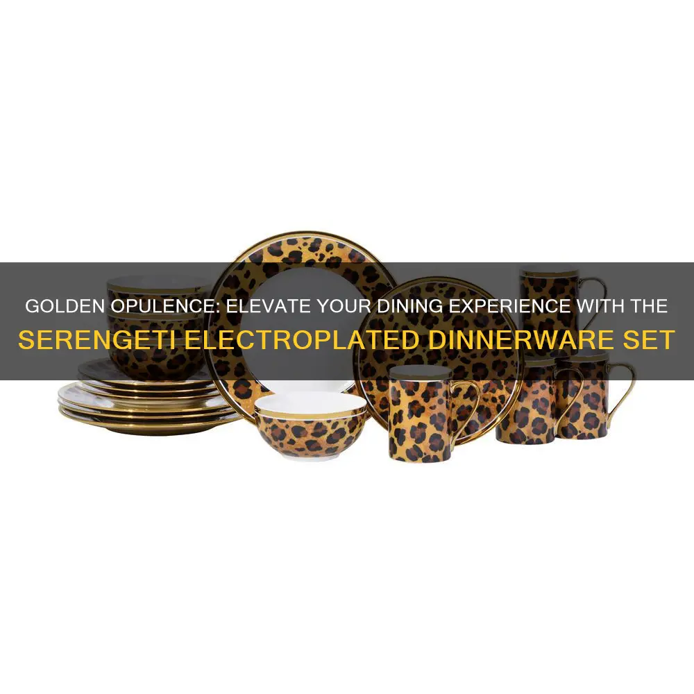 222 fifth serengeti electropated gold 16 piece dinnerware set