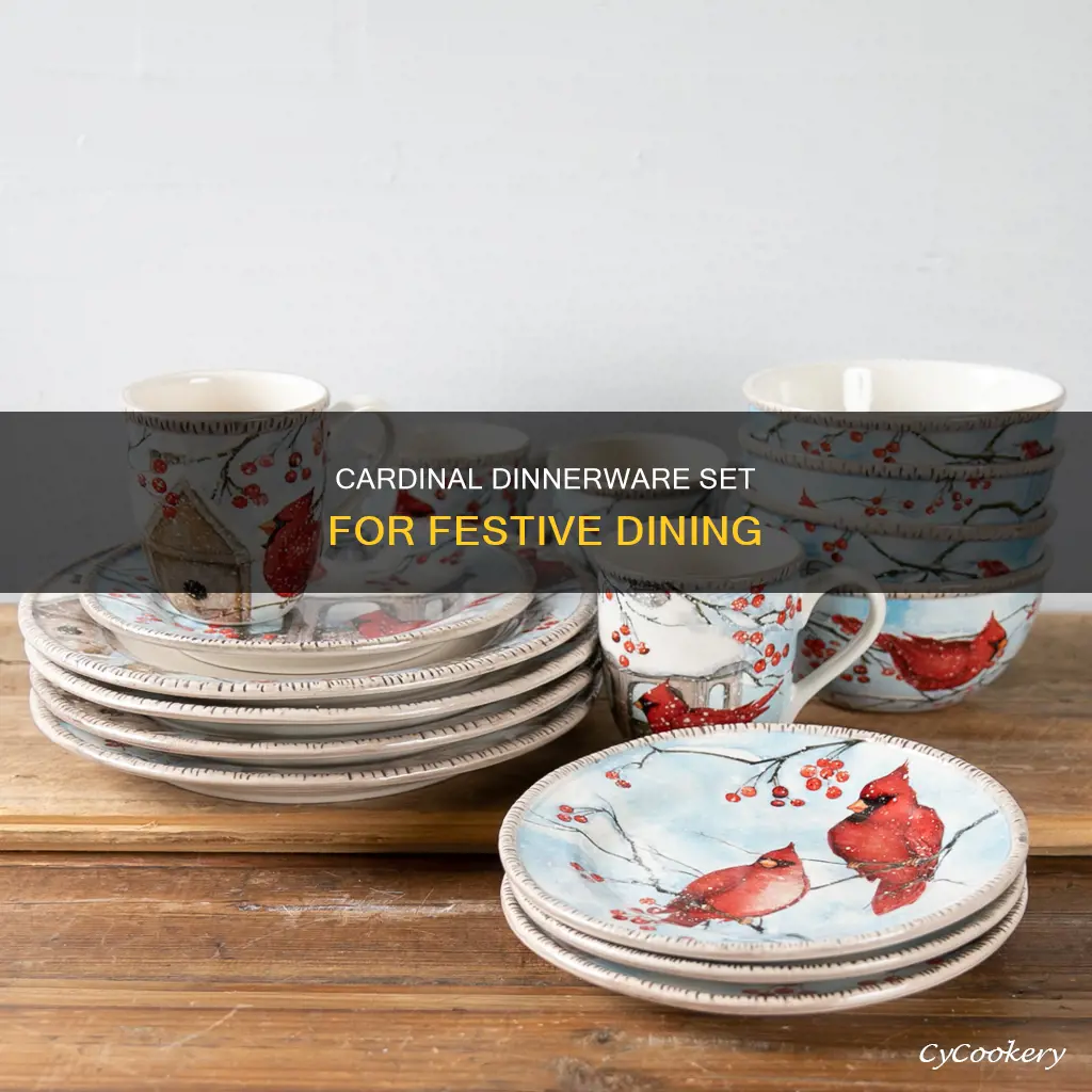 222 fifth winter cardinal 12 pc dinnerware set