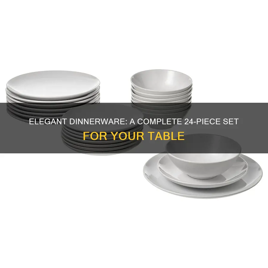 24pc dinnerware set member