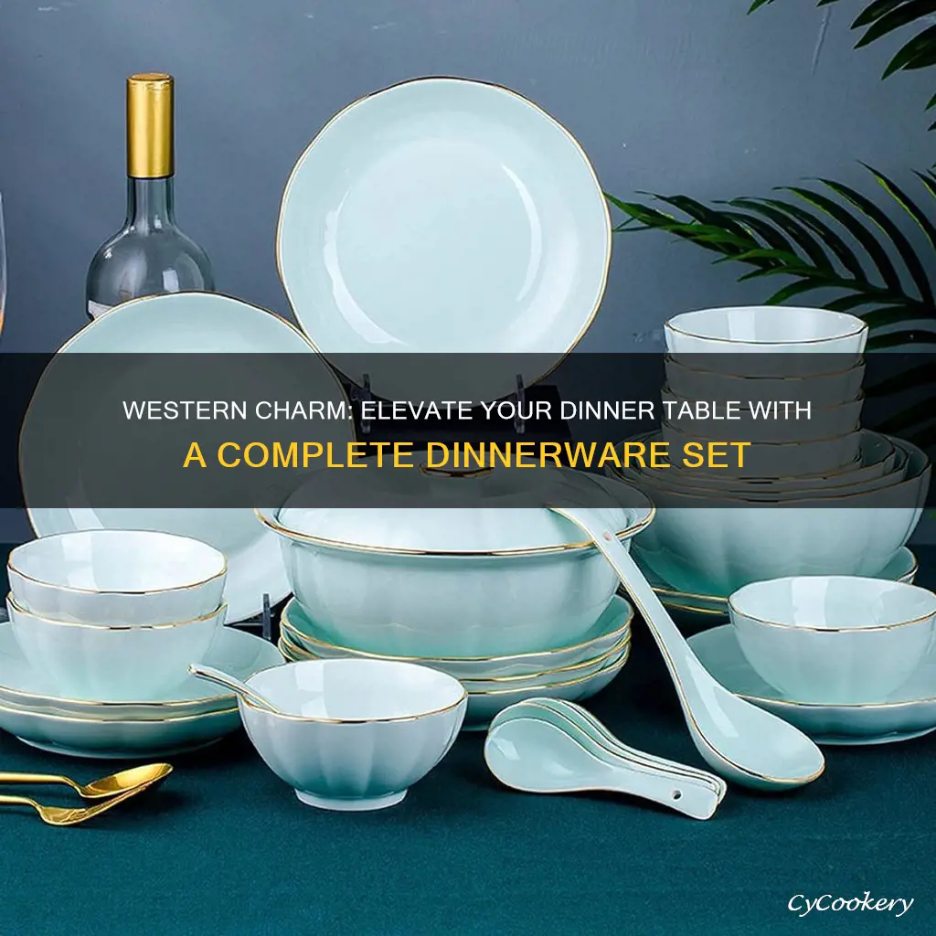 30pcs dinnerware set western