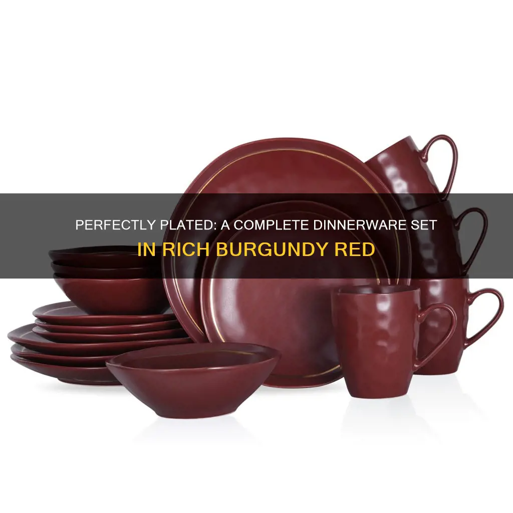 45 pc dinnerware set burgundy red