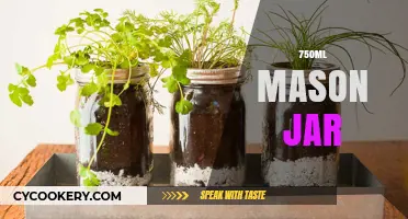 Mason Jar Magic: Creative Uses for Your 750ml Glass Container