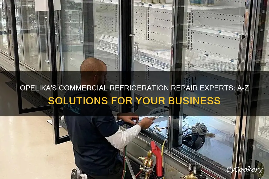 a-z refrigeration commercial refrigeration repair opelika al