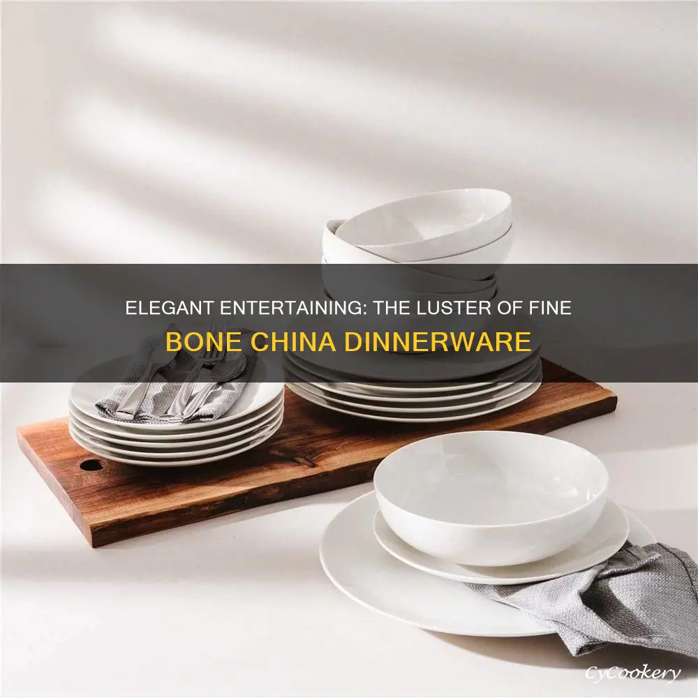 alex liddy fine bone china dinnerware set