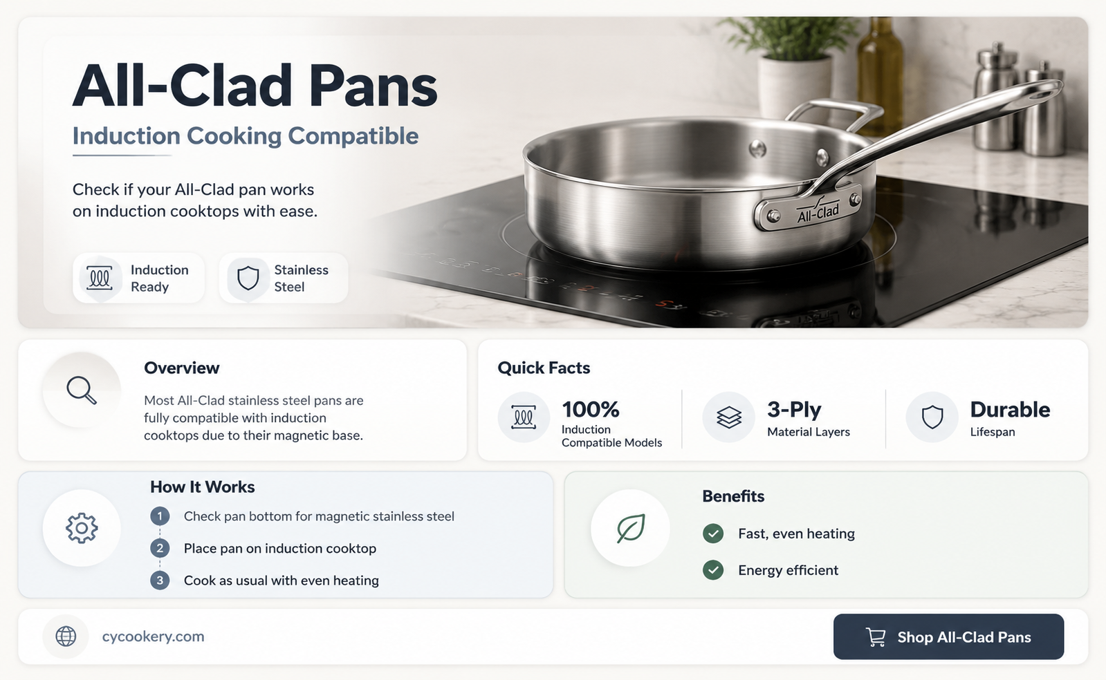 are all clad pans induction compatible