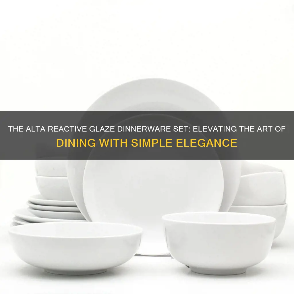 alta reactive glaze dinnerware set white