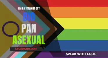 Sexuality Spectrum: Exploring Straight, Gay, Bi, and Pansexuality