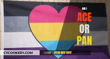 Exploring Ace and Pan: Understanding Sexual Orientation and Identity
