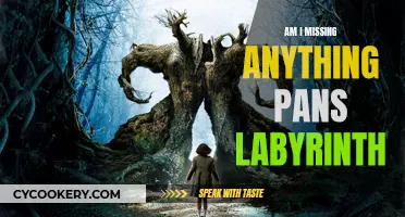 Pan's Labyrinth: A Comprehensive Review and Analysis