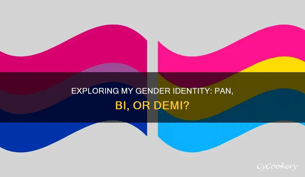 am I pan bi or demi