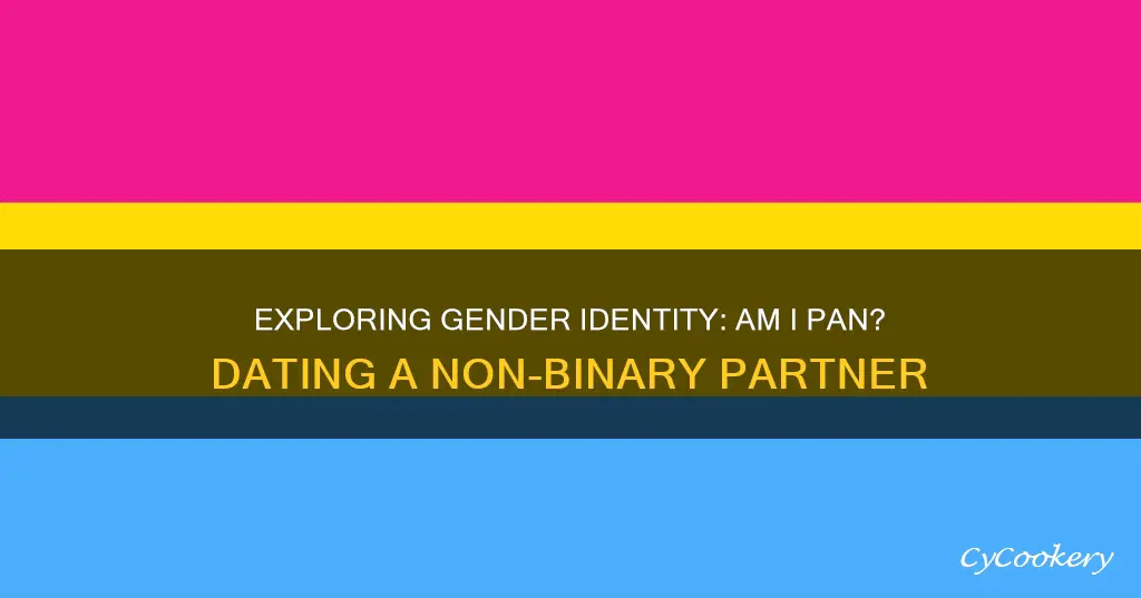 am I pan if I dated a non binary gender