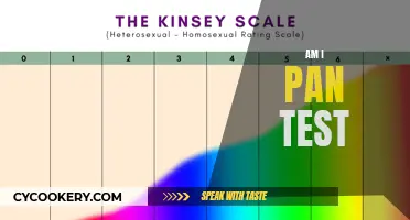 Understanding Pansexuality: Am I Pan? A Personal Test