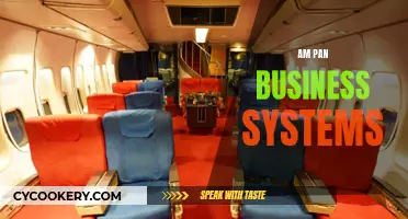 Pan Business Systems: Revolutionizing the Way We Work