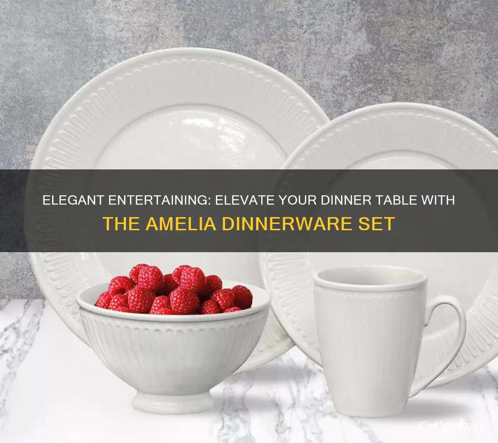 amelia 12 piece dinnerware set