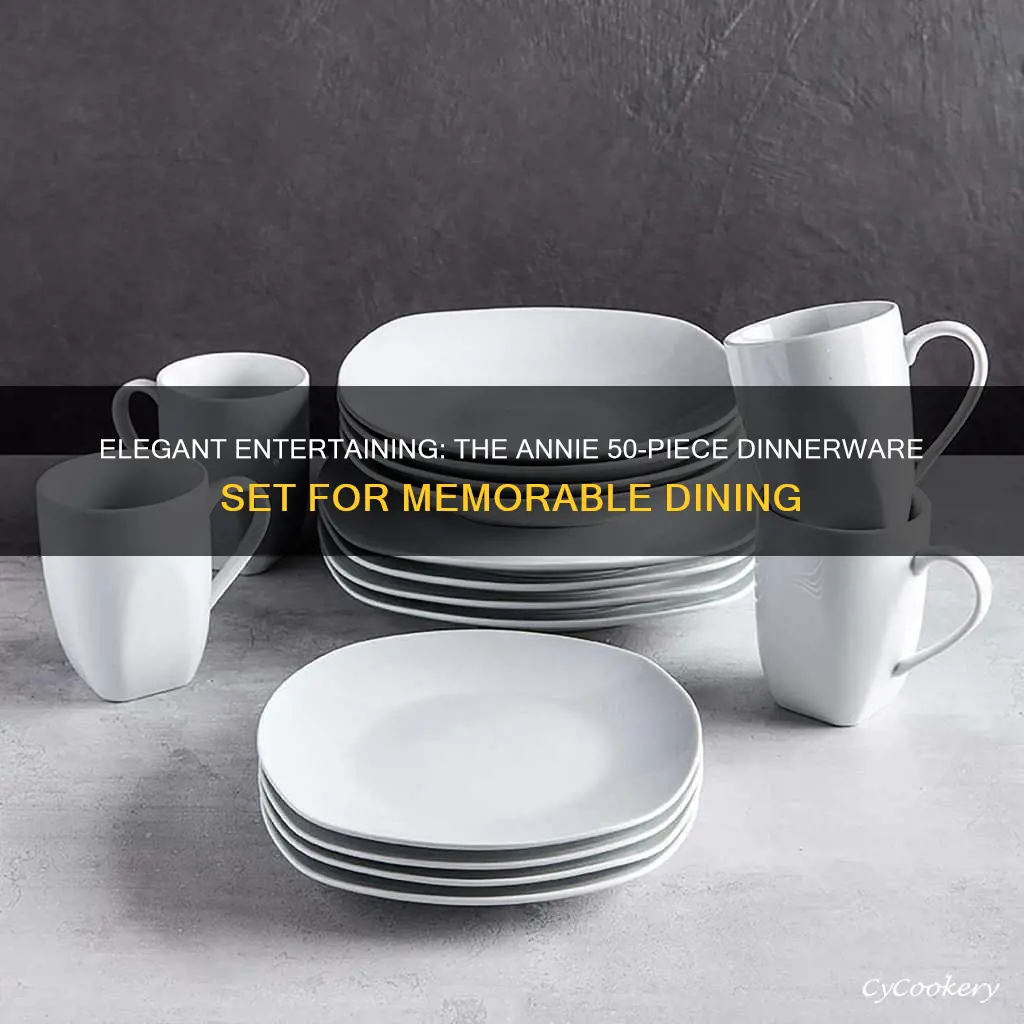 annie 50 piece dinnerware set