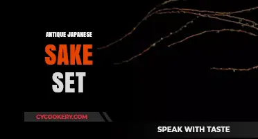 Discovering the Timeless Beauty of Antique Japanese Sake Sets