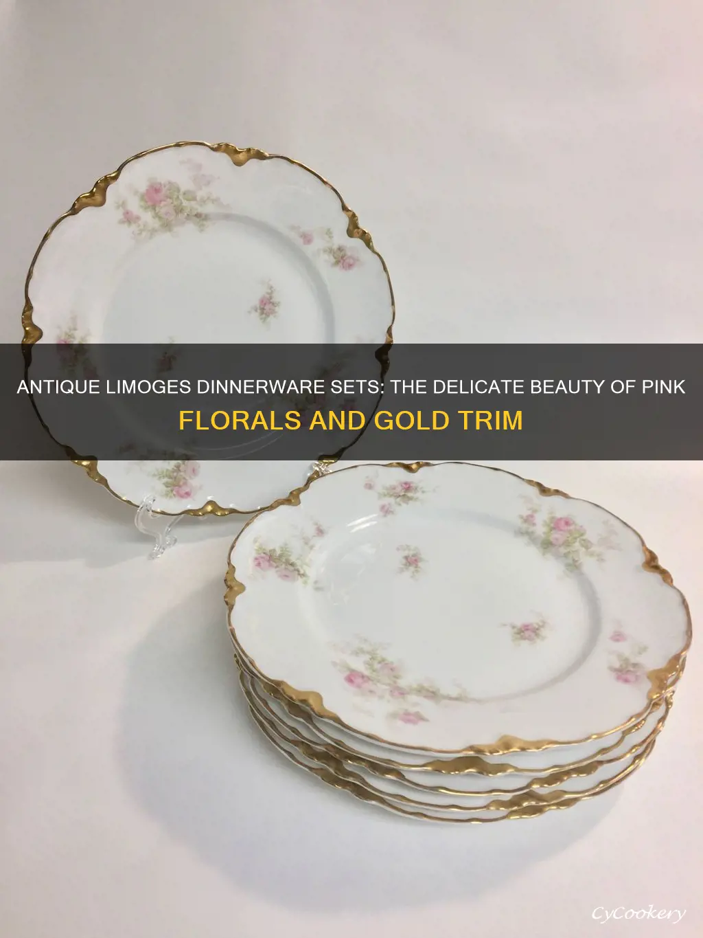 antique limoges dinnerware sets pink floral gold trim