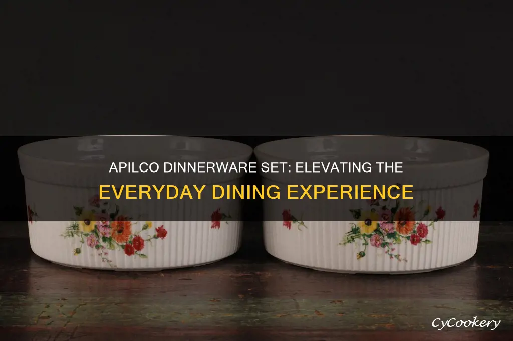 apilco dinnerware set