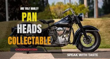 Classic Pan Heads: Are 1957 Harleys Worth Collecting?