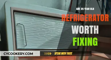 Is Repairing a 25-Year-Old Fridge Cost-Effective or Time to Upgrade?