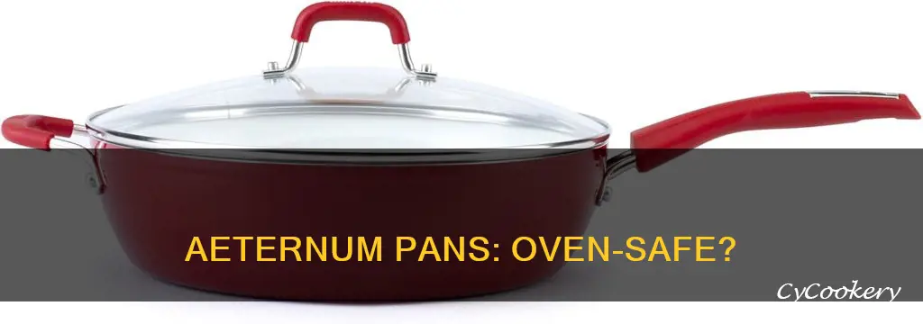 are aeternum pans oven safe