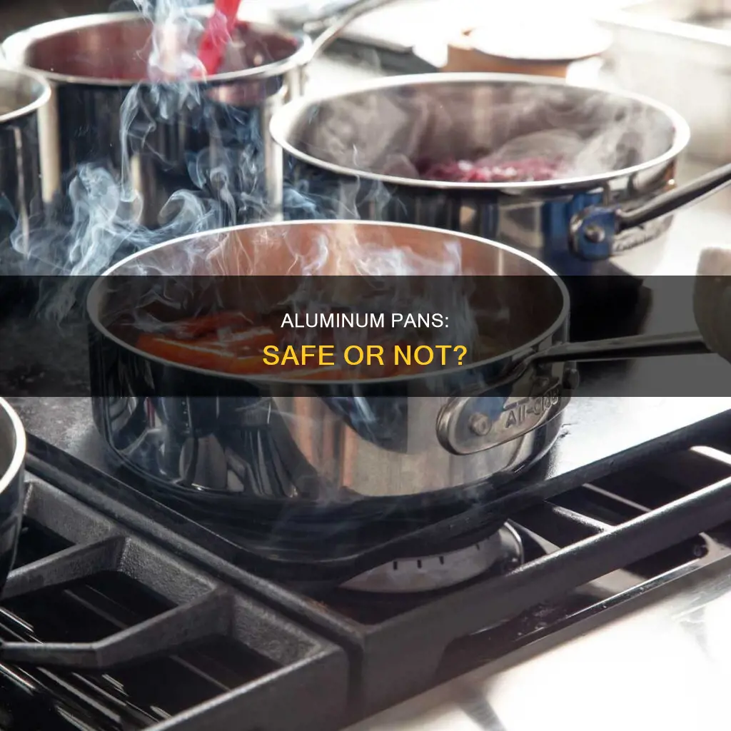 are aliminuim pans safe