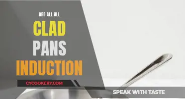 All-Clad Pans: Induction-Ready or Not?