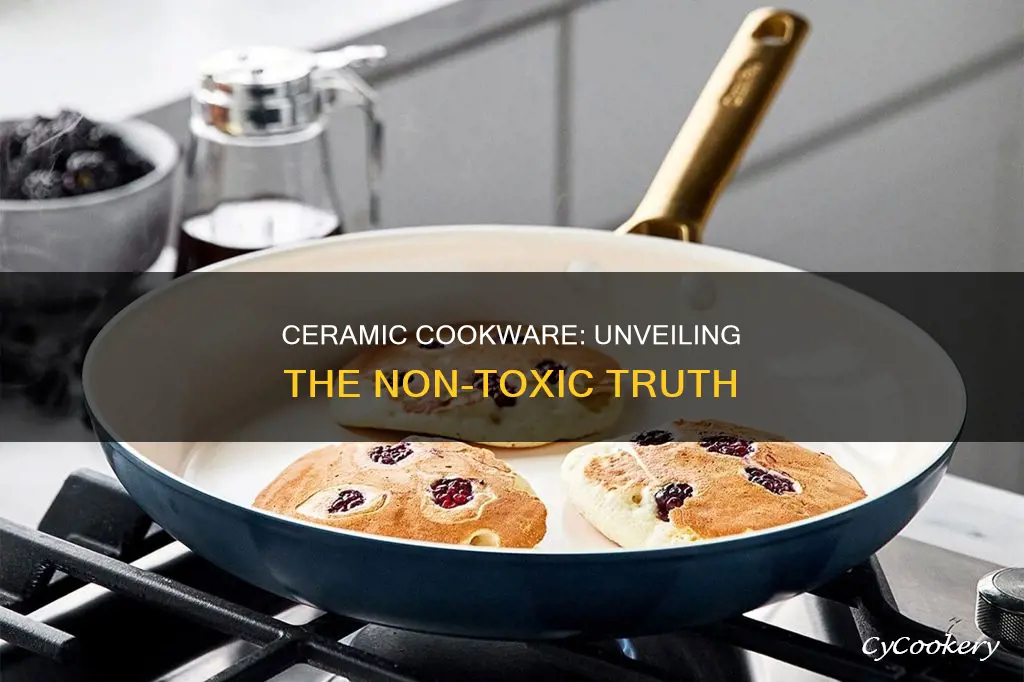 are all ceramic pans non toxic