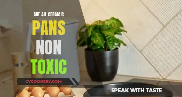 Ceramic Pans: Are They All Non-Toxic?