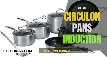 Circulon Pan Induction Compatibility: What You Need to Know