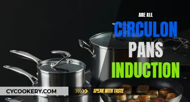Circulon Pans: Induction-Ready or Not?