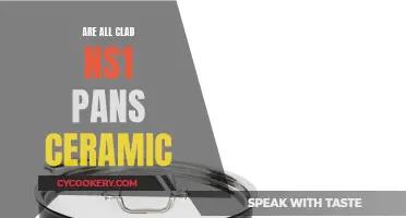 All-Clad NS1 Pans: Ceramic or Not?
