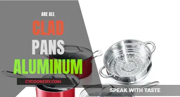 Unveiling the Truth: Are All-Clad Pans Aluminum?