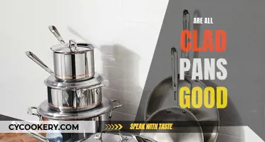 All-Clad Pans: Worth the Hype and Price Tag?