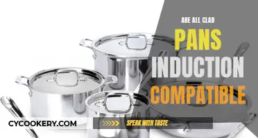 All-Clad Pans: Induction Cooking Compatible?