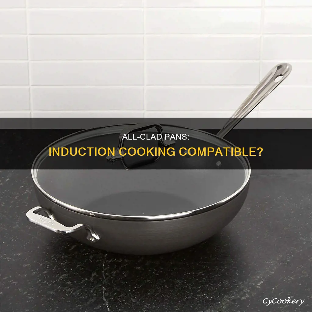 are all clad pans induction compatible