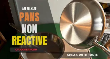 Are All-Clad Pans Non-Reactive? Unveiling the Truth Behind the Hype