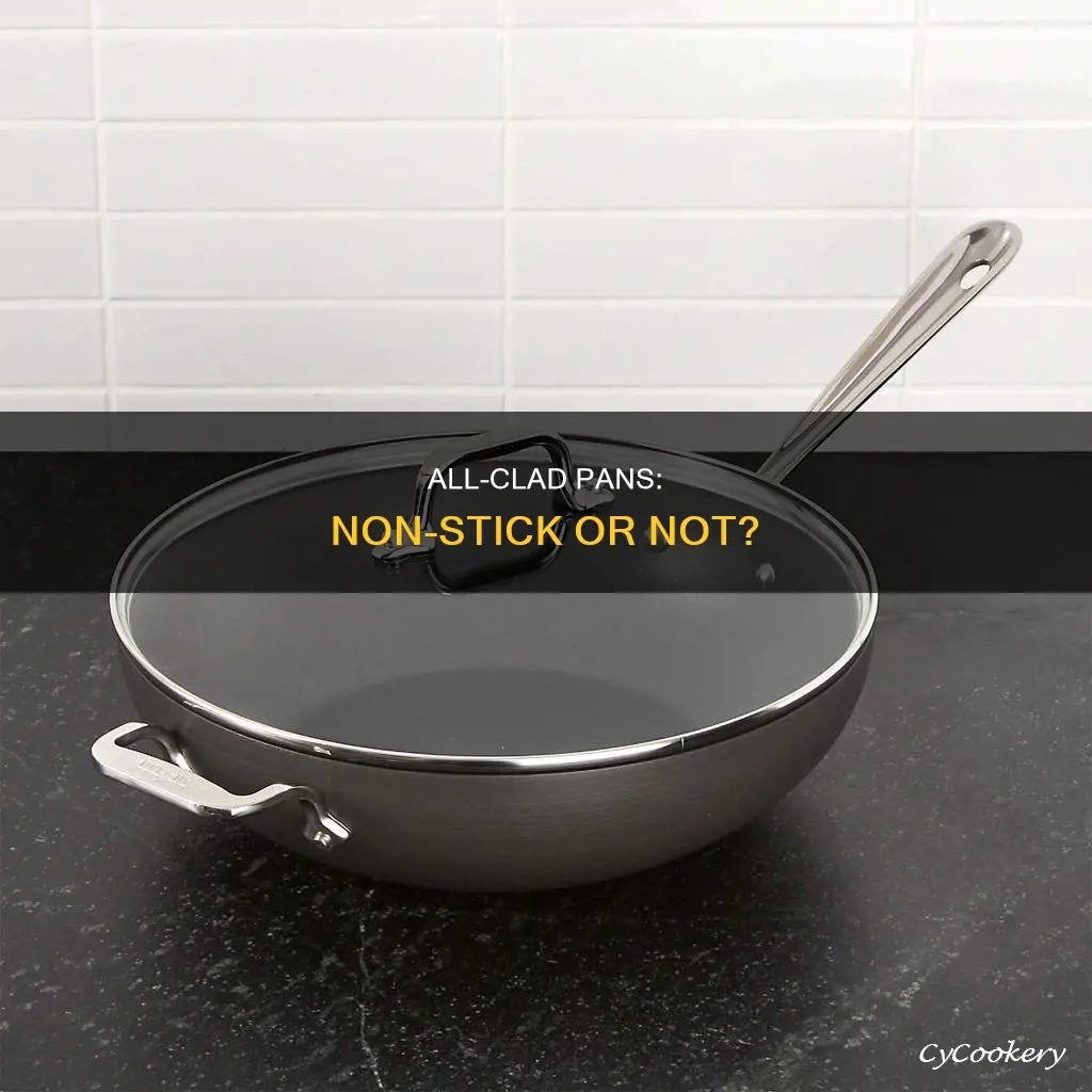 are all clad pans non stick