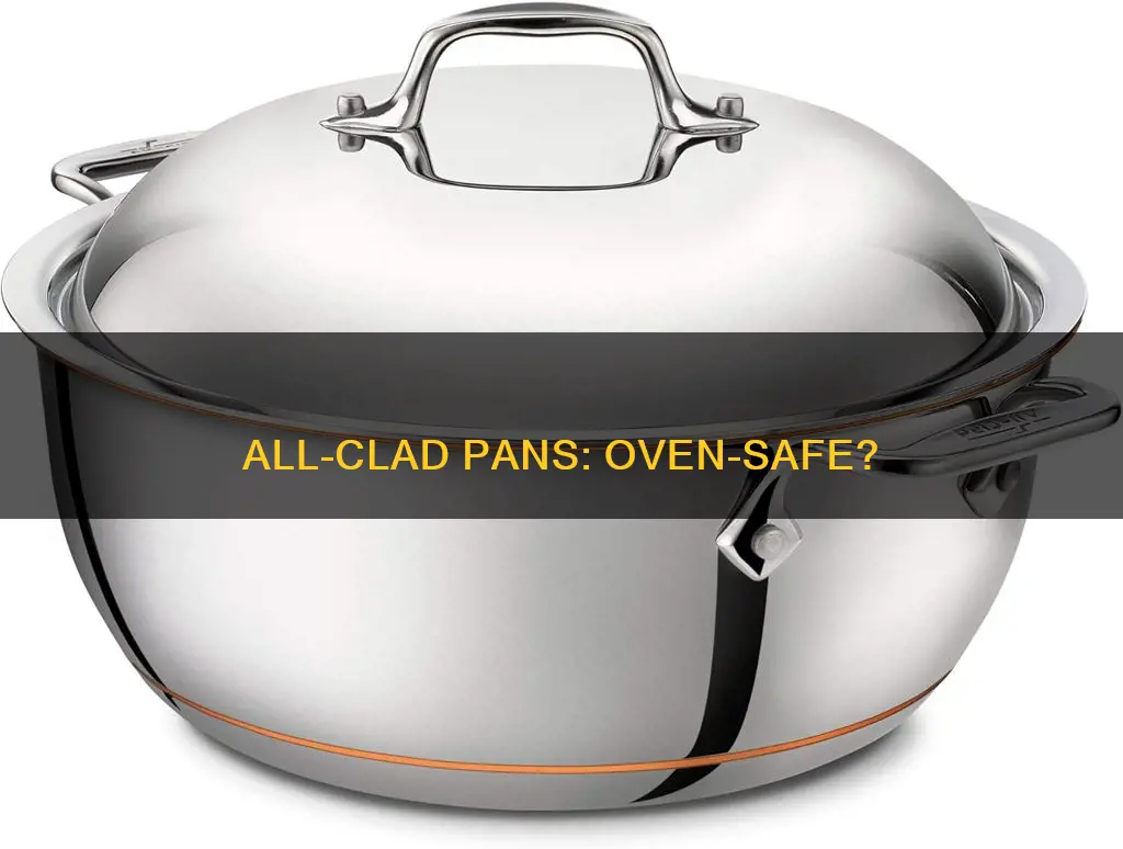 are all clad pans oven safe