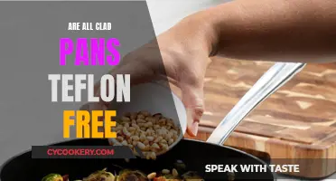 All-Clad Pans: Are They Free of Teflon?