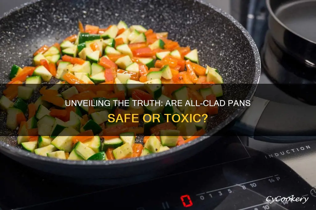 are all clad pans toxic