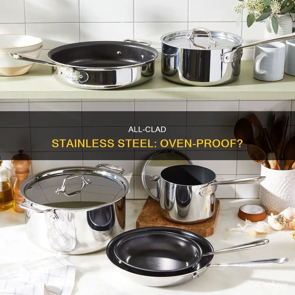 are all clad stainless steel pans oven proof