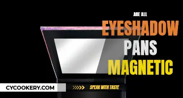 Magnetic Attraction: Are All Eyeshadow Pans Magnetically Charged?