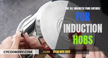 Magnetic Pans: Induction Hob Compatibility Explained