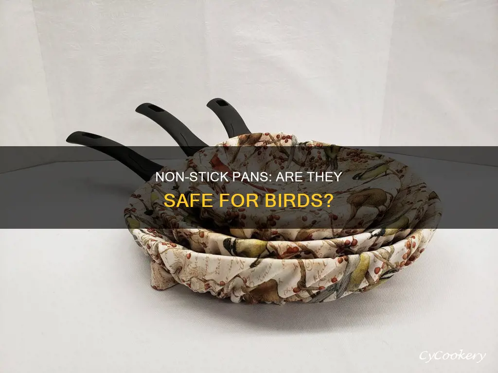 are all non stick pans hazardous to birds